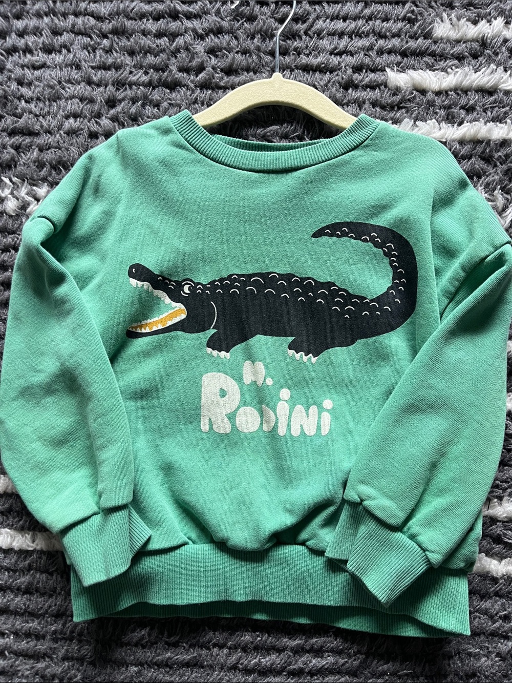 Green Kids Sweatshirt with Crocodile Graphic